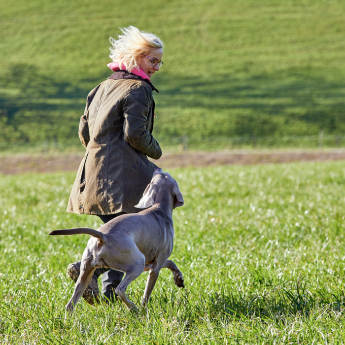 Frau rennt mit Weimaraner über die Wiese